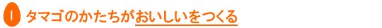 タマゴのかたちがおいしさをつくる